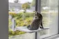 Preview: Fenster-Liegeplatz für Katzen mit Saugnäpfen und Wendebezug